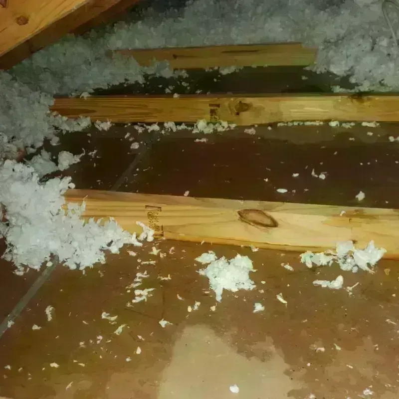 Attic Water Damage in Squaw Valley, CA